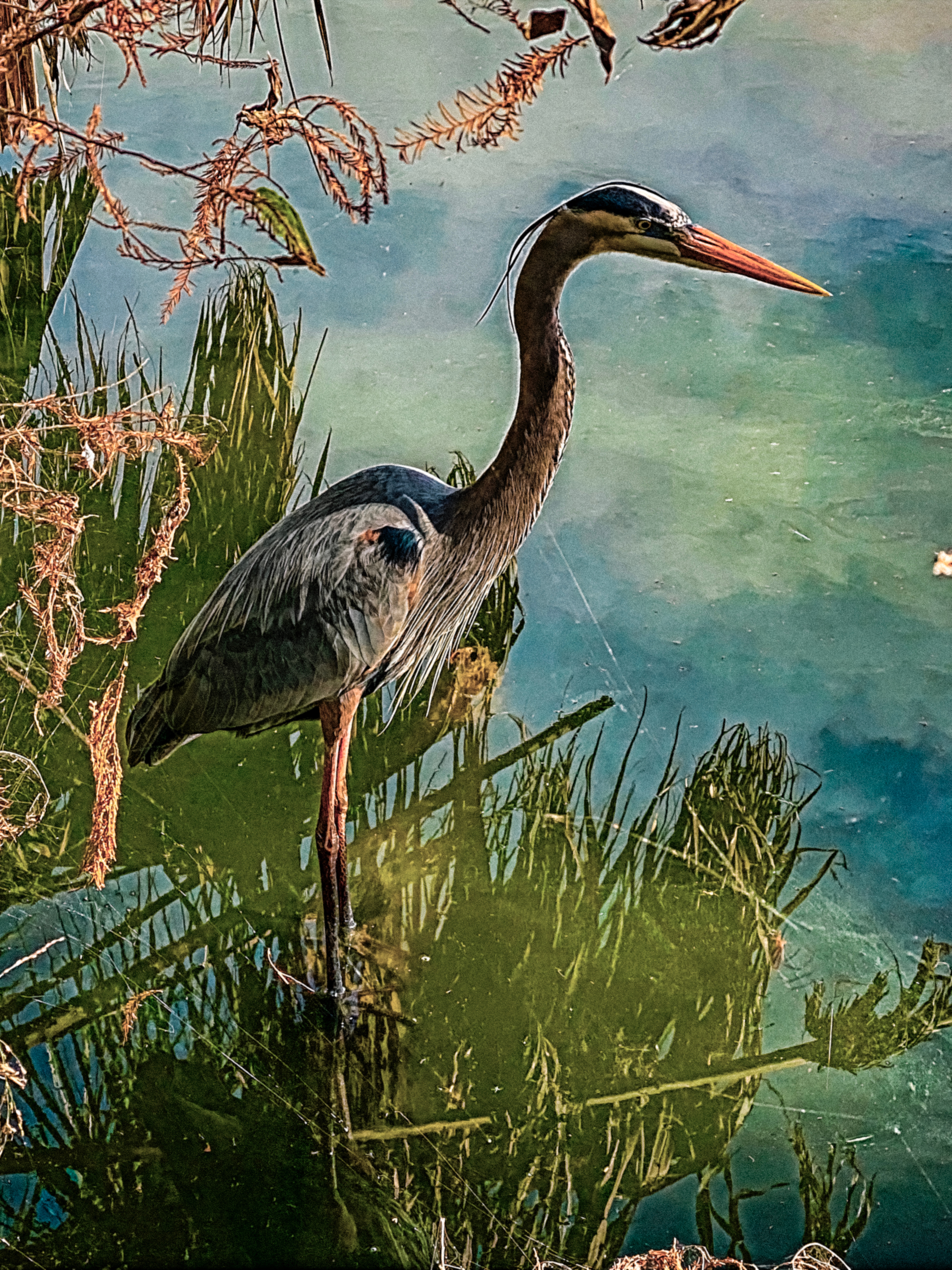 Majesty on the Water